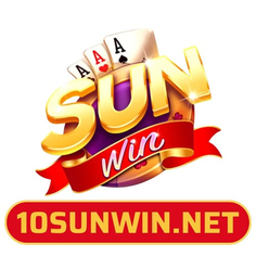 10SUNWIN net