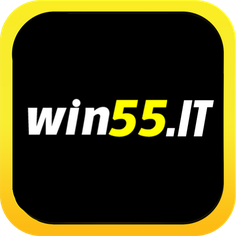 win55 it