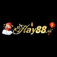 hay88 ltd